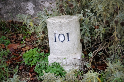 Les Foulees du Dragon 2025/FDRAGON_2025_09350.JPG